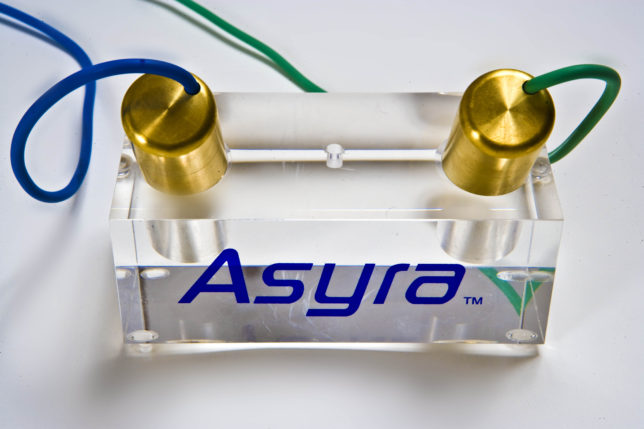 asyra batons Digital Homeopathy Bio-Resonance Kara Mia Vernon