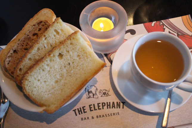 the-elephant-102