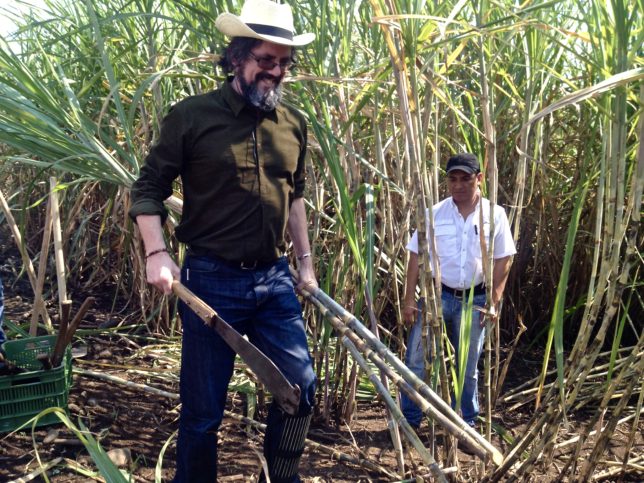 Dave Broom with sugar cane - the raw ingredient from which all rum is made.