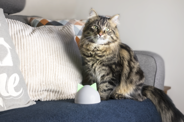 Sureflap Microchip Pet Door Connect Sloan Magazine