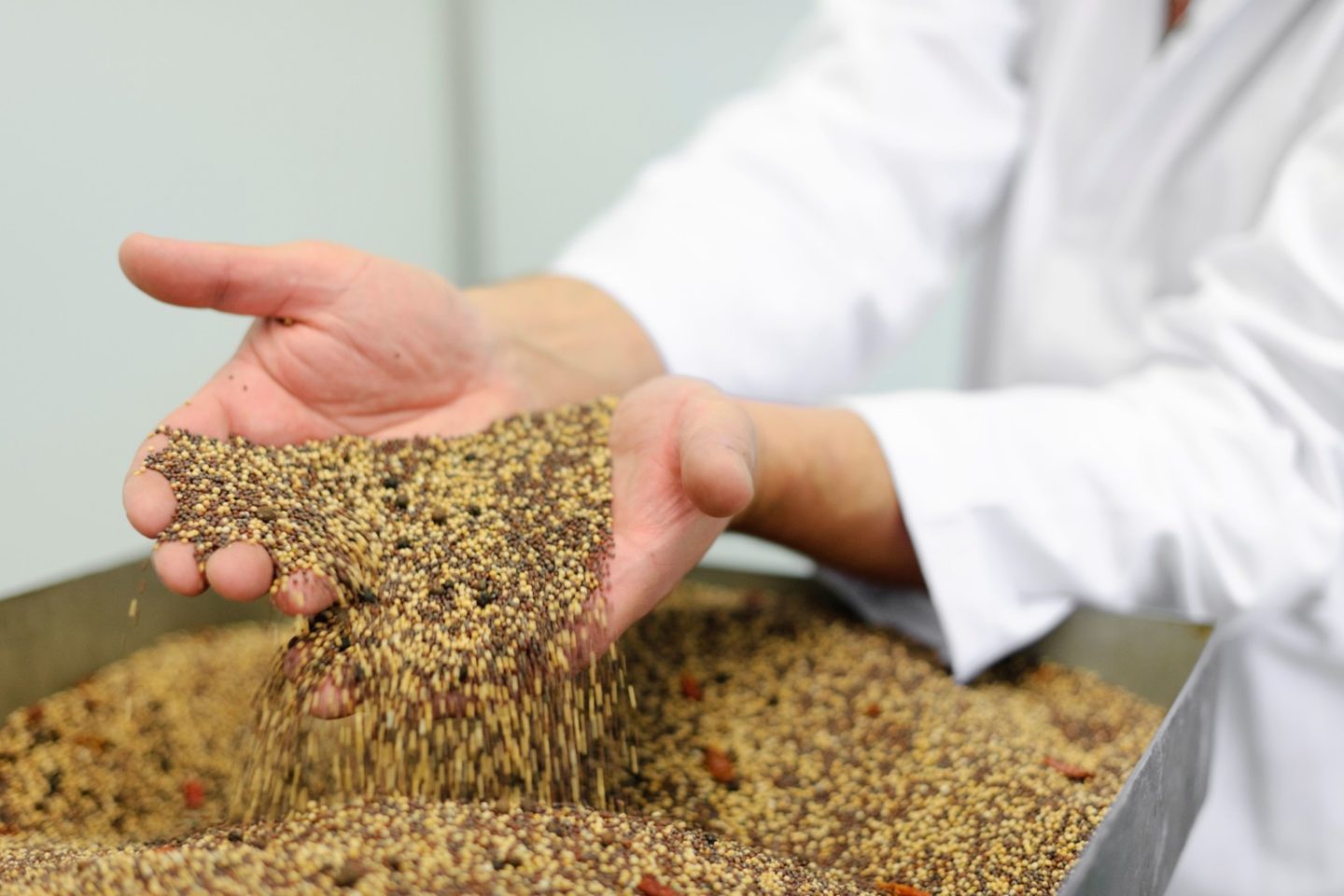 Research Shows That Wholegrain Mustard Can Help Lower Cholesterol